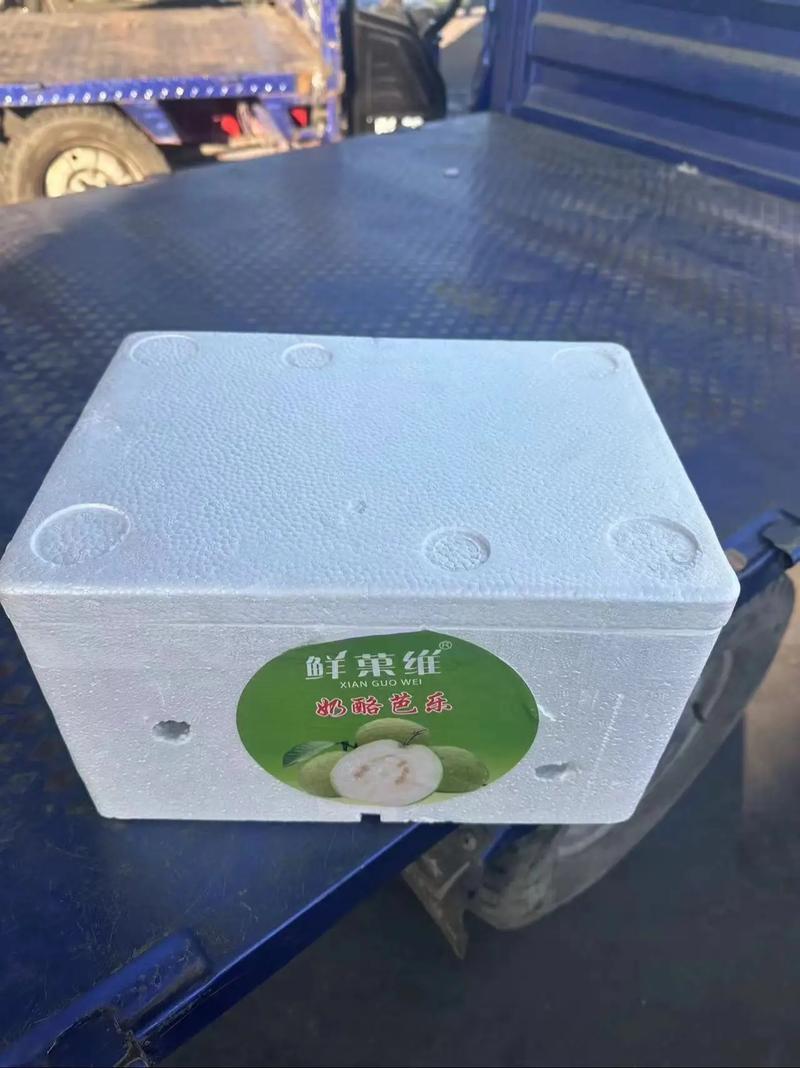泡沫箱鲜果维芭乐到货 ♨️ 树上熟 香味十足! 保健食品!