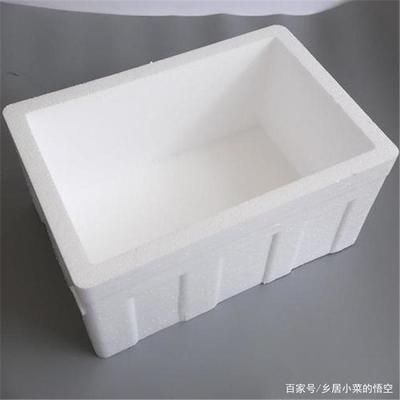 农村阳台上用泡沫箱种辣椒的实操指南